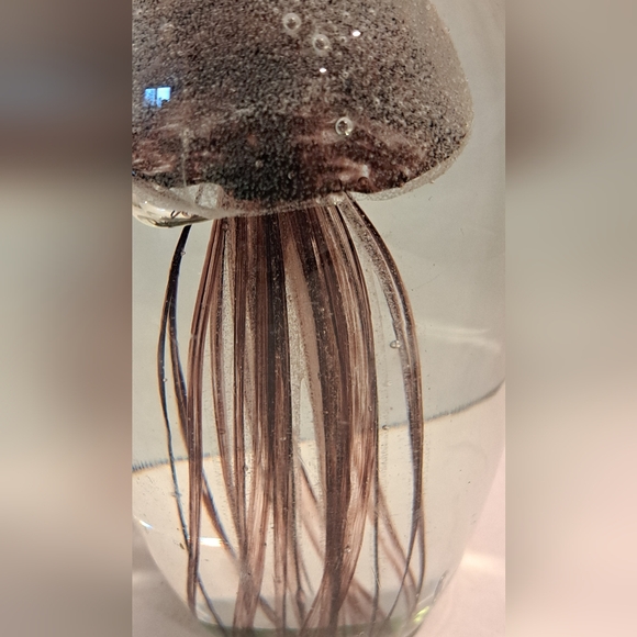 Brown Jellyfish Glass Paperweight. - Picture 5 of 8